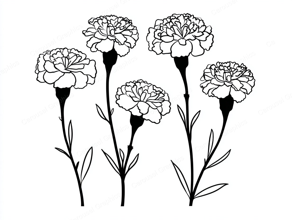 Marigold Vector Graphic preview