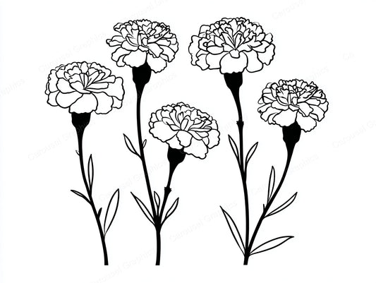 Marigold Vector Graphic preview
