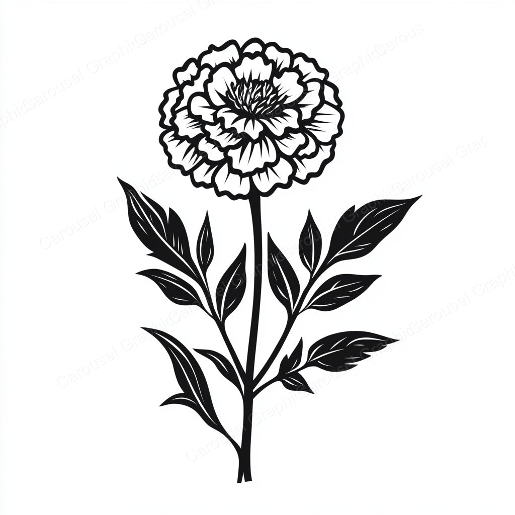 Marigold Vector Graphic preview