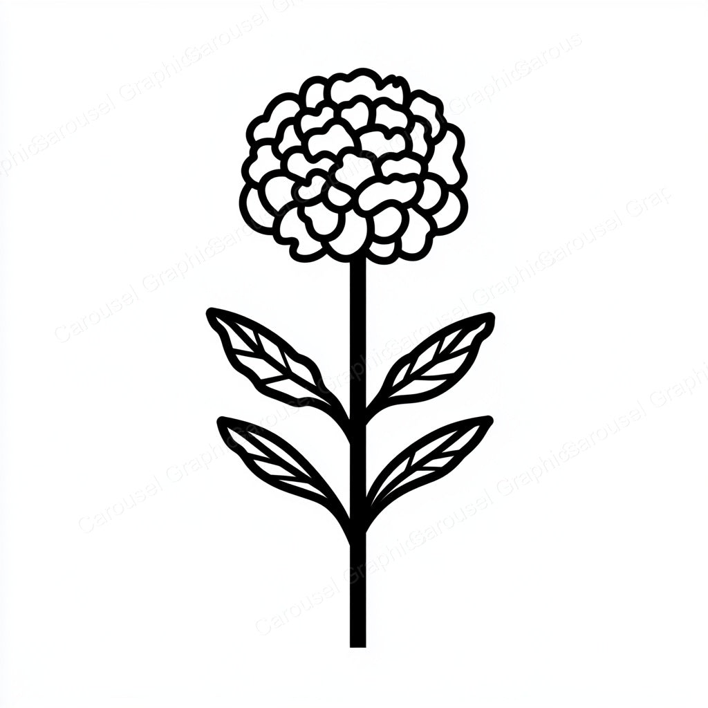 Marigold Vector Graphic preview