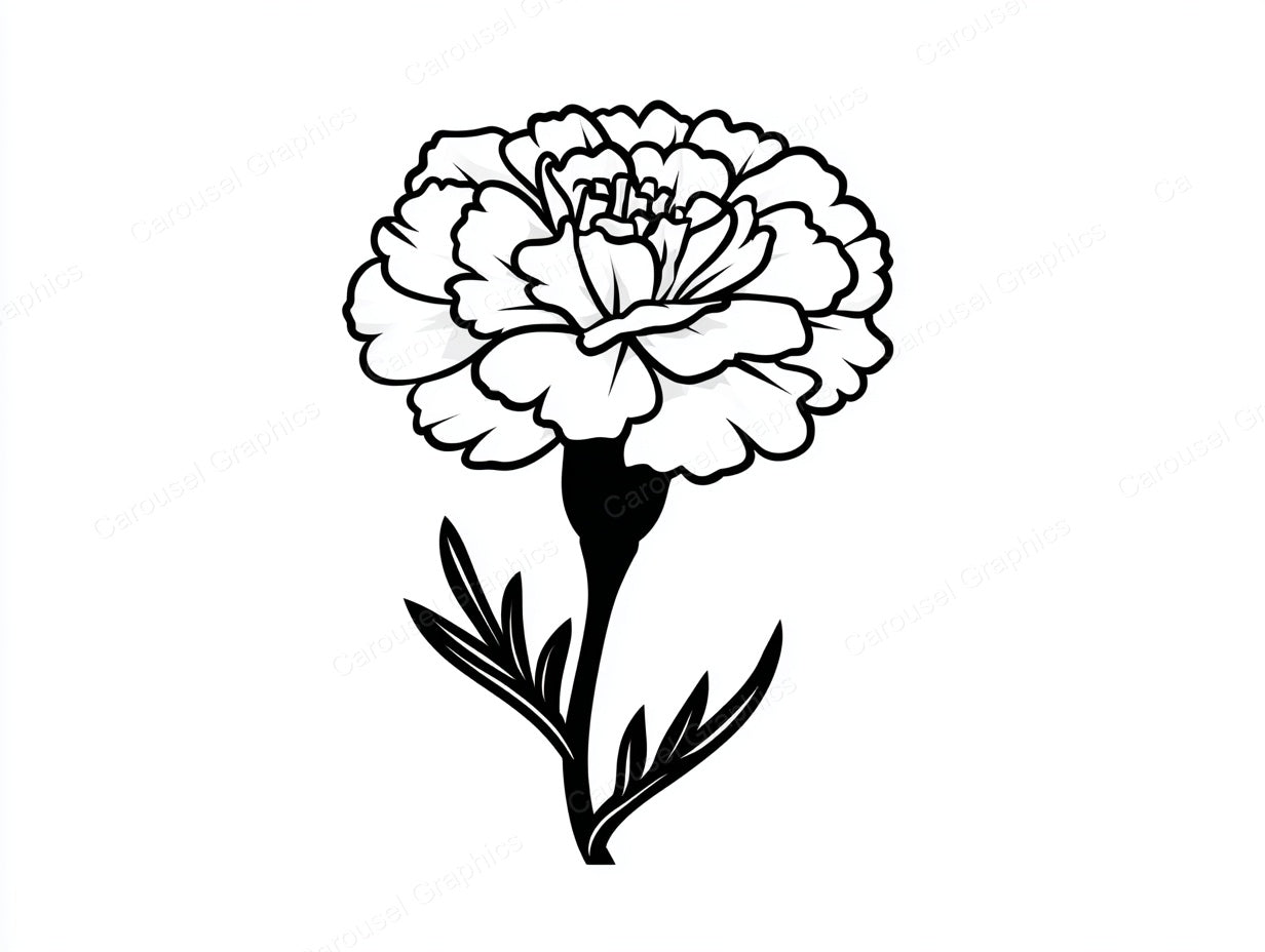 Marigold Vector Graphic preview
