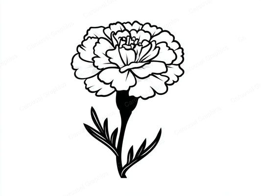 Marigold Vector Graphic preview