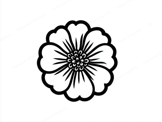 Marigold Vector Graphic preview