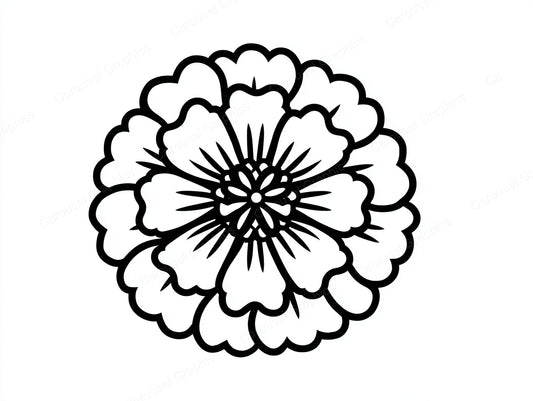 Marigold Vector Graphic preview