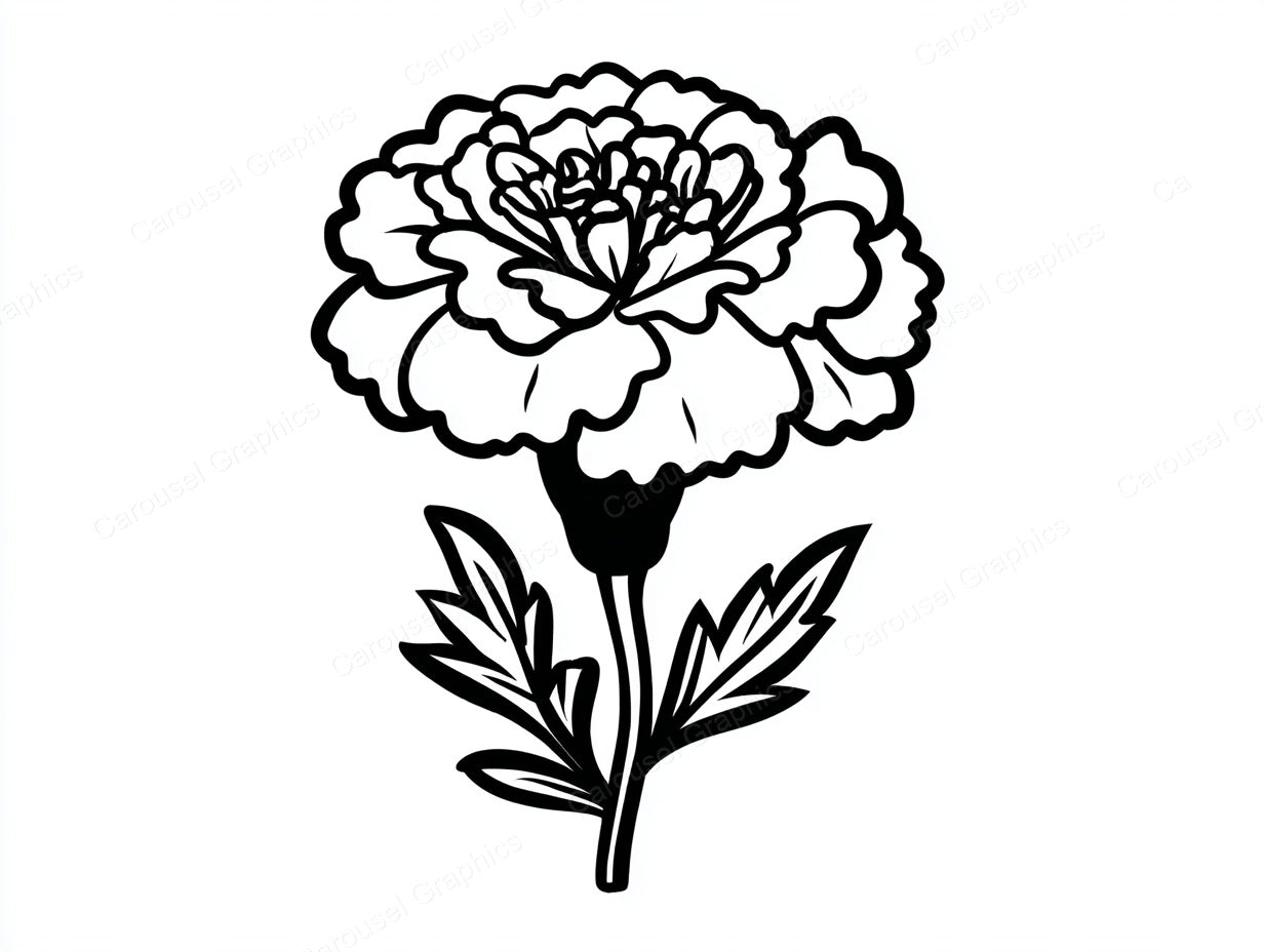Marigold Vector Graphic preview