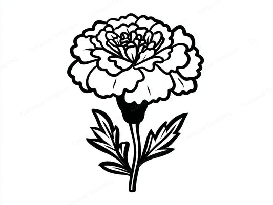 Marigold Vector Graphic preview