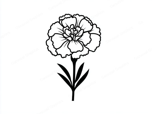 Marigold Vector Graphic preview