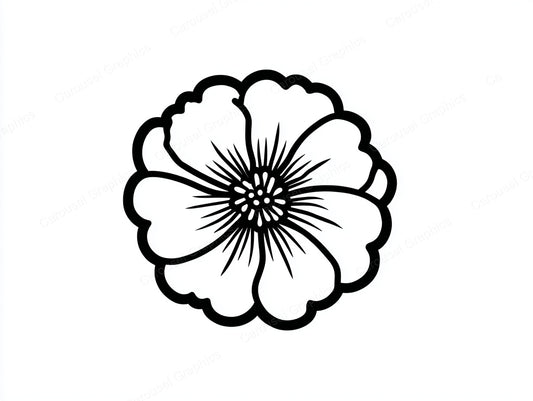 Marigold Vector Graphic preview