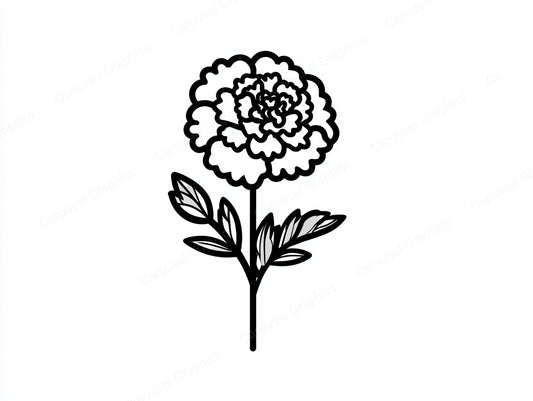 Marigold Vector Graphic preview