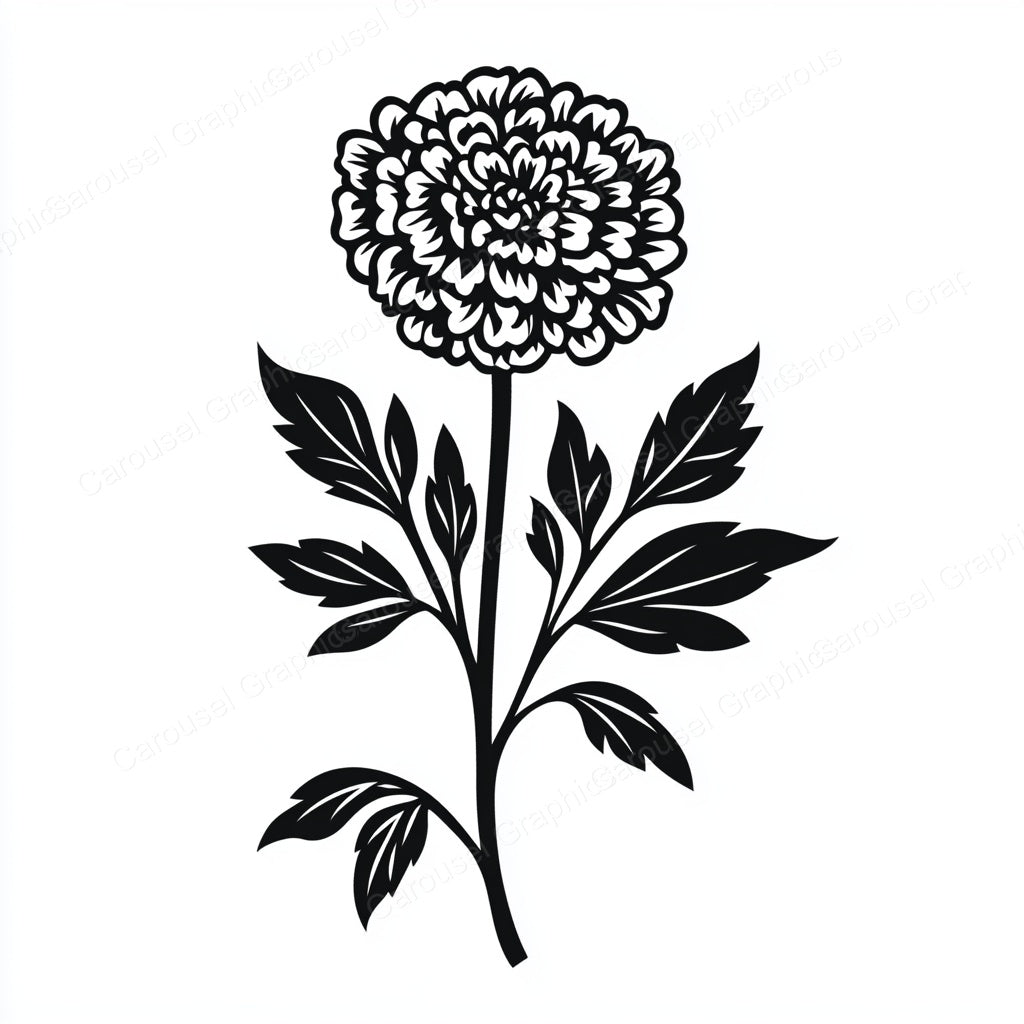 Marigold Vector Graphic preview