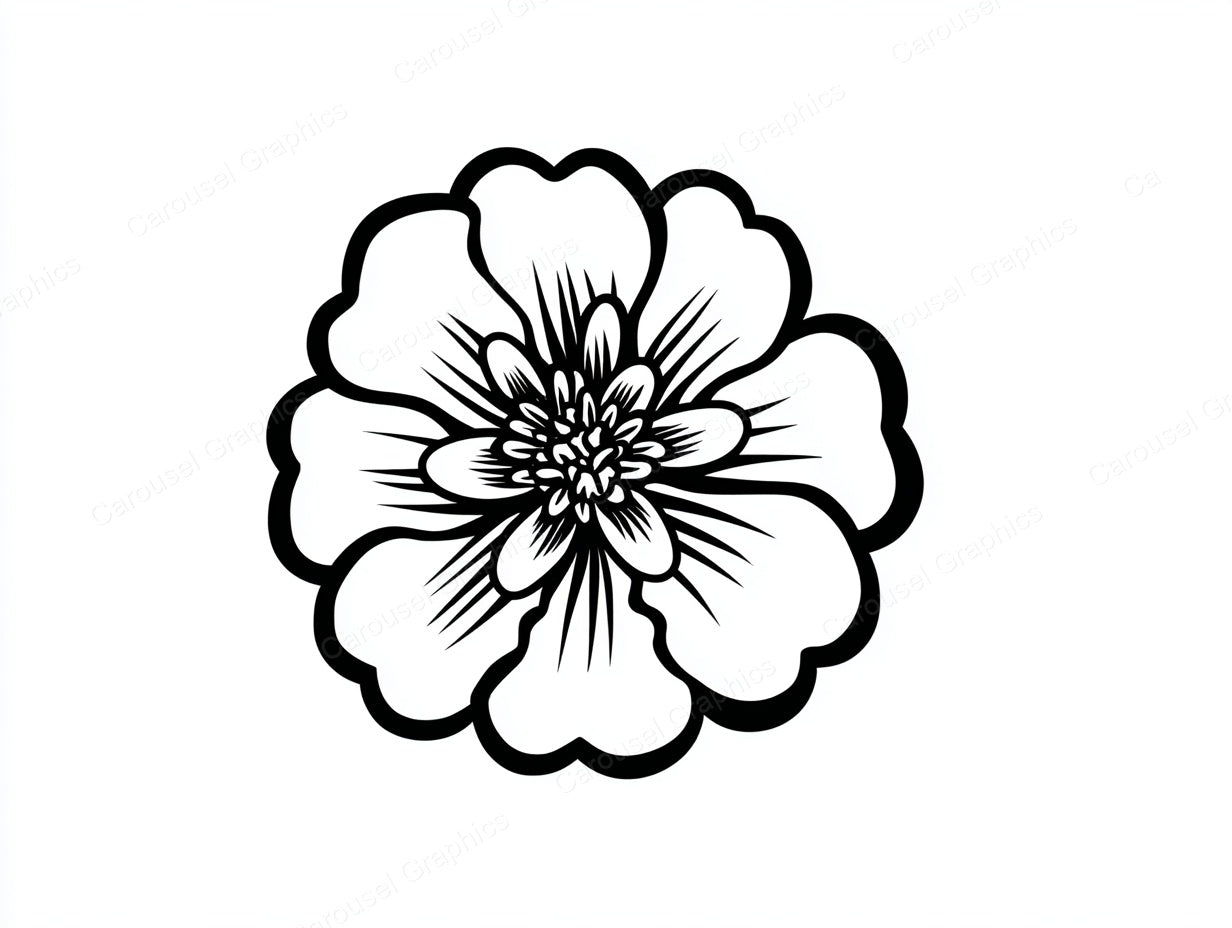 Marigold Vector Graphic preview
