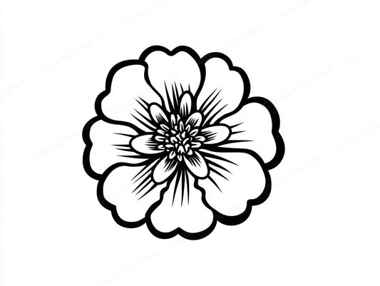 Marigold Vector Graphic preview