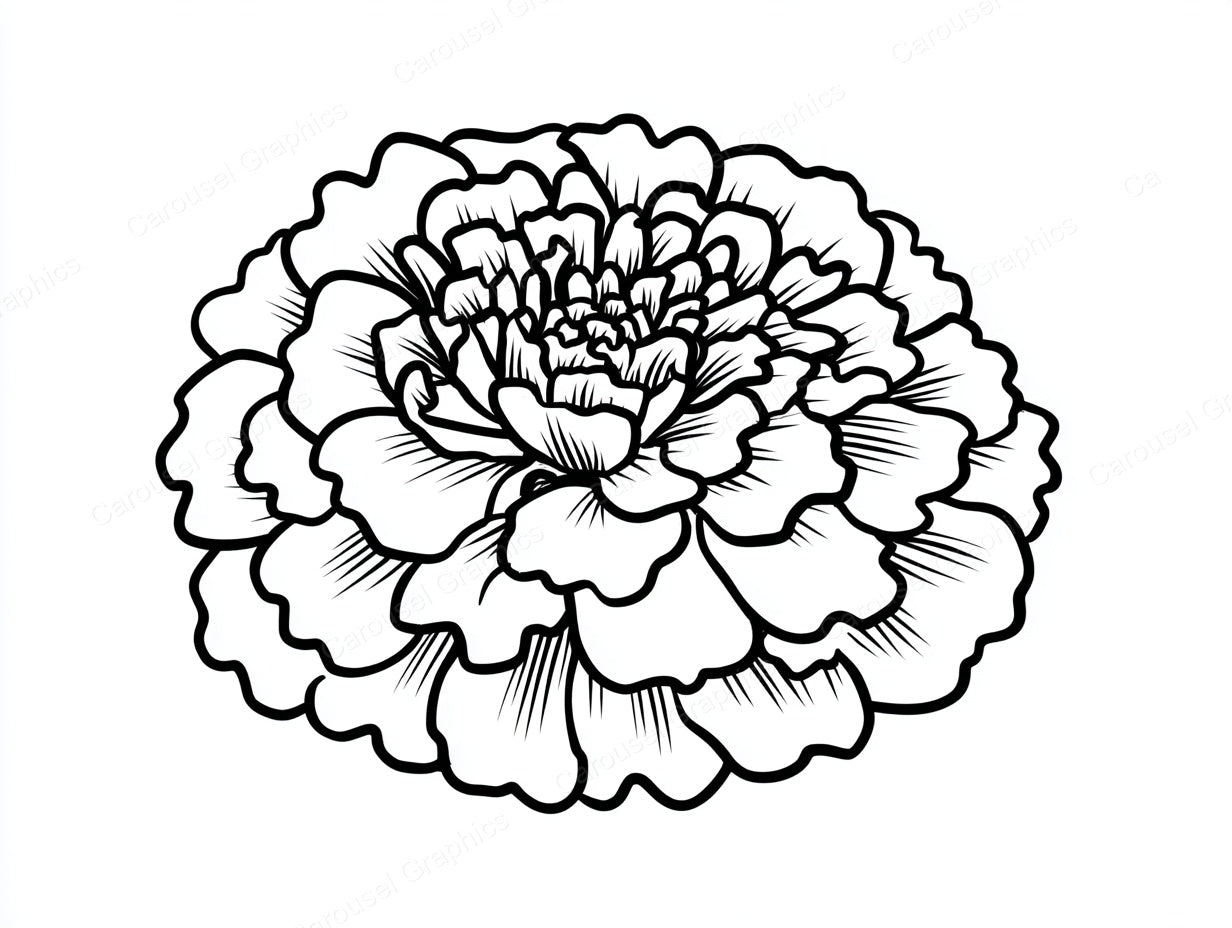 Marigold Vector Graphic preview