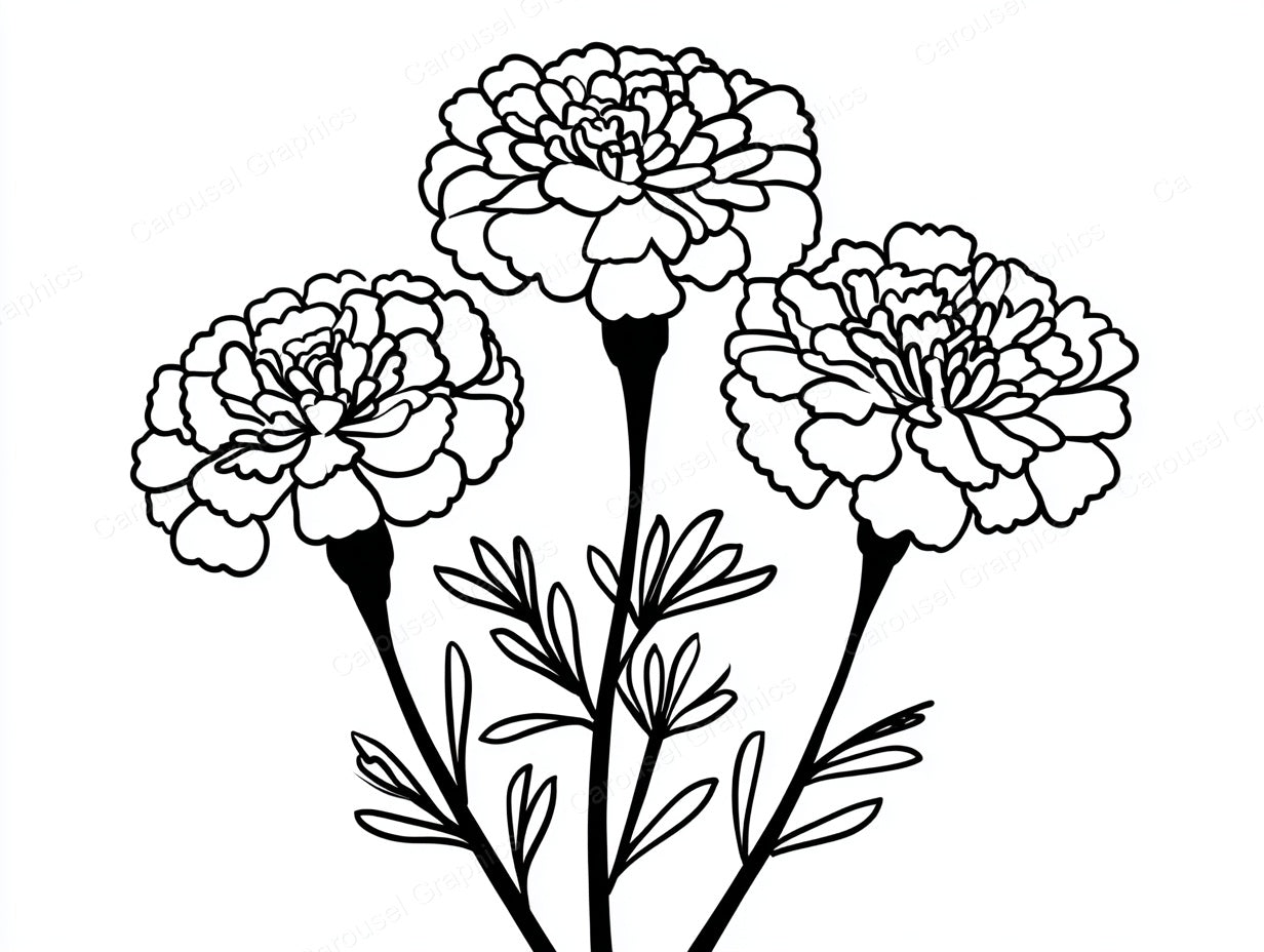 Marigold Vector Graphic preview