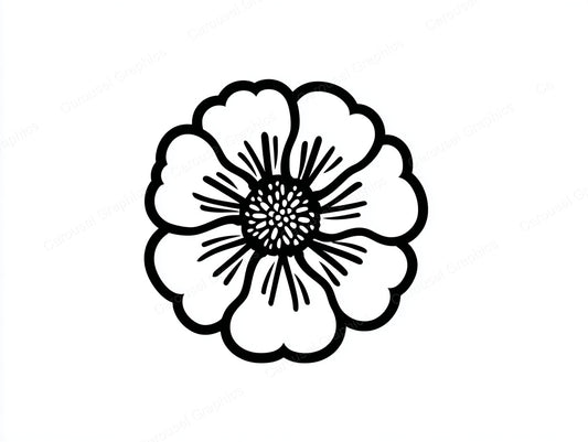 Marigold Vector Graphic preview