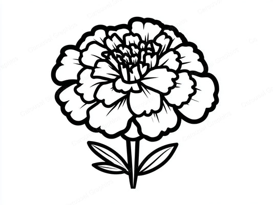 Marigold Vector Graphic preview
