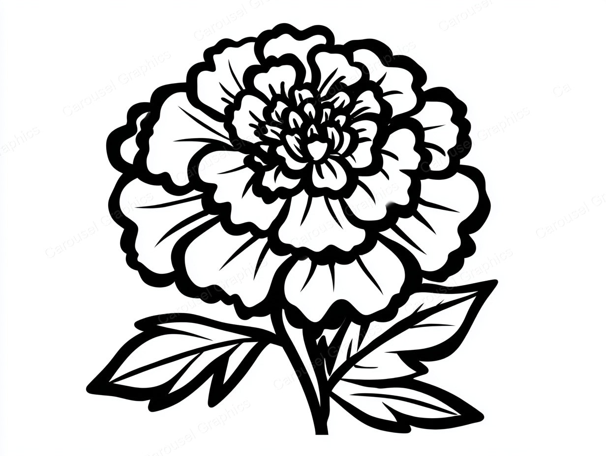 Marigold Vector Graphic preview