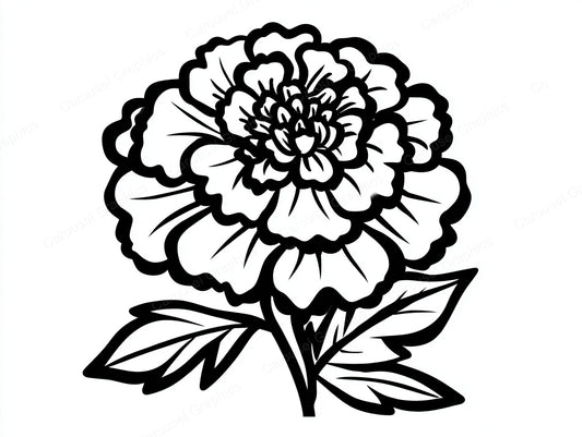 Marigold Vector Graphic preview
