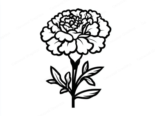 Marigold Vector Graphic preview