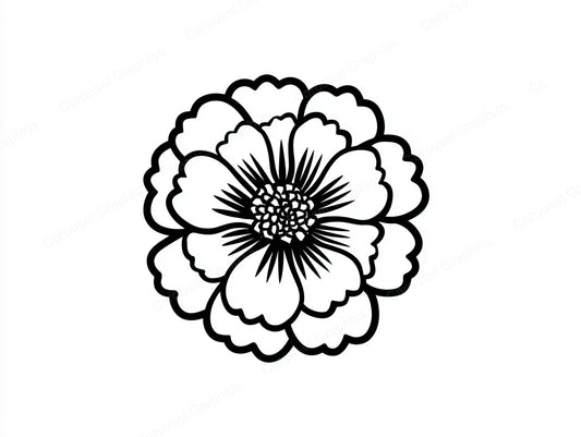 Marigold Vector Graphic preview