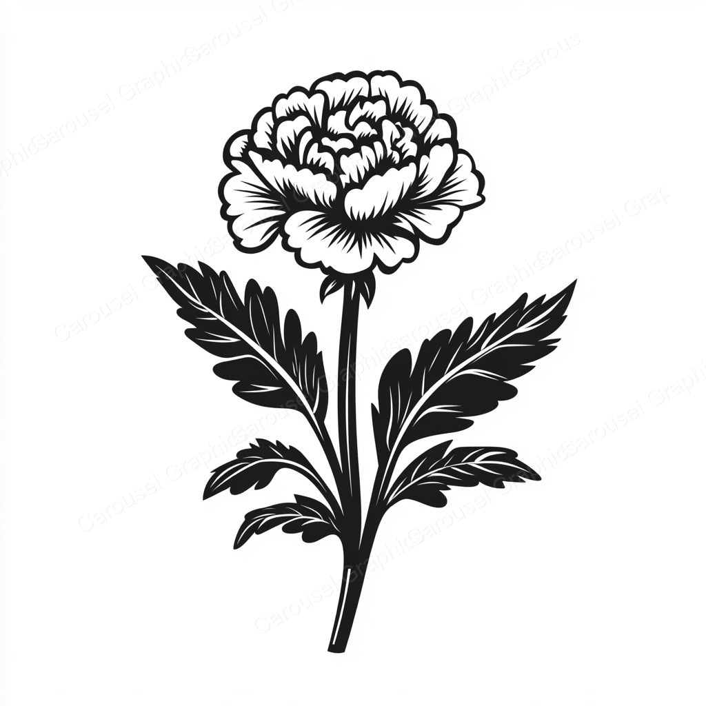 Marigold Vector Graphic preview