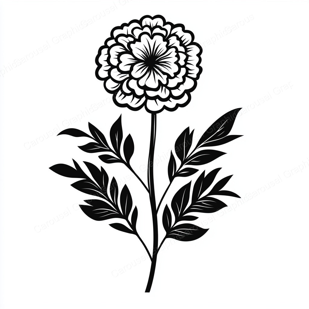 Marigold Vector Graphic preview