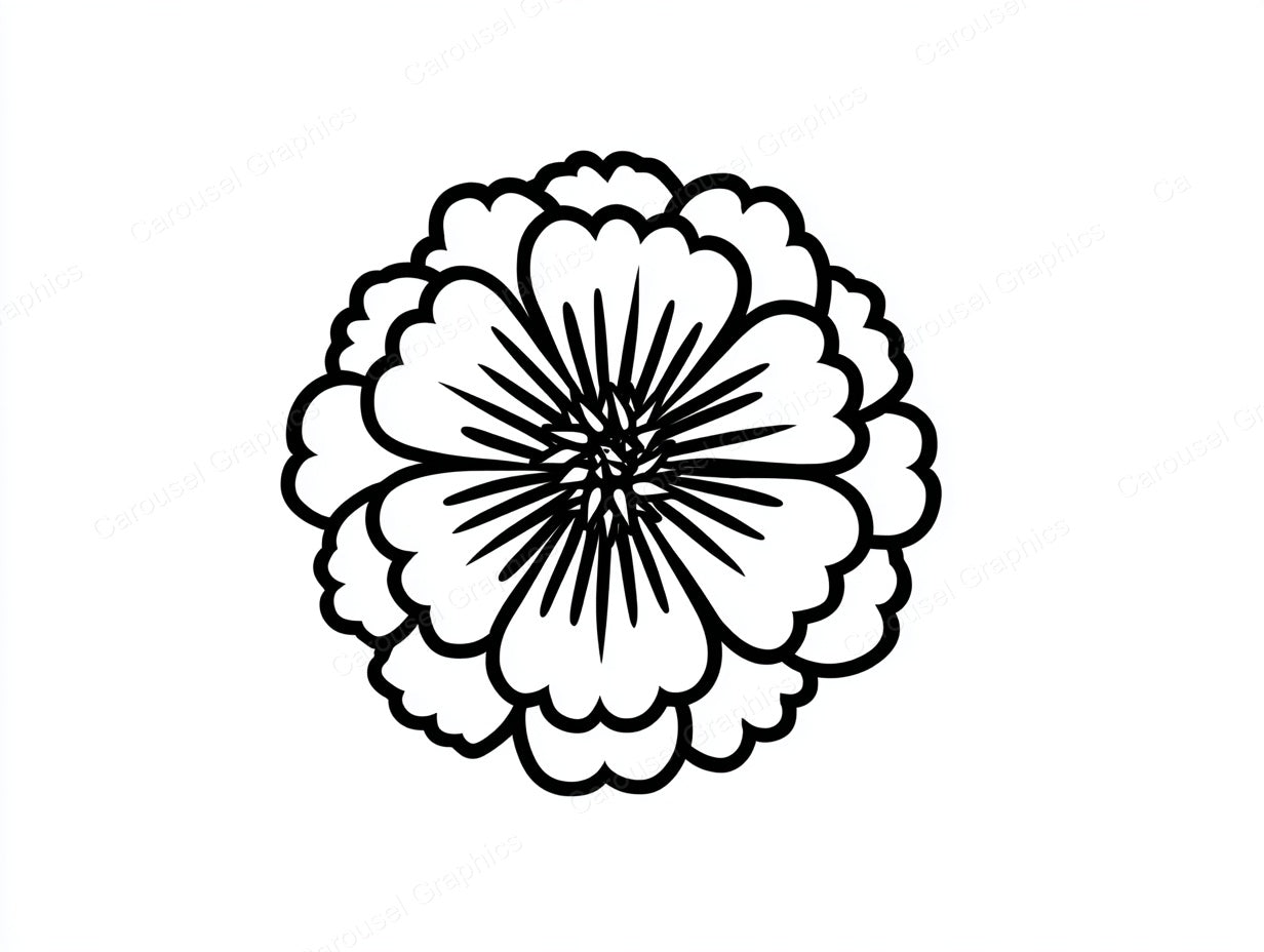 Marigold Vector Graphic preview