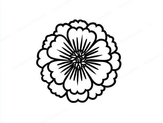 Marigold Vector Graphic preview