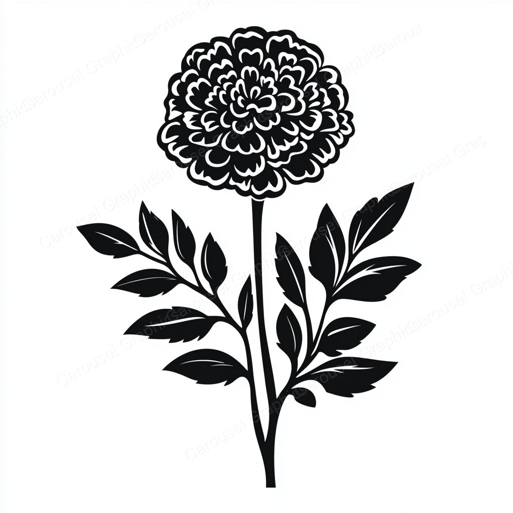 Marigold Vector Graphic preview
