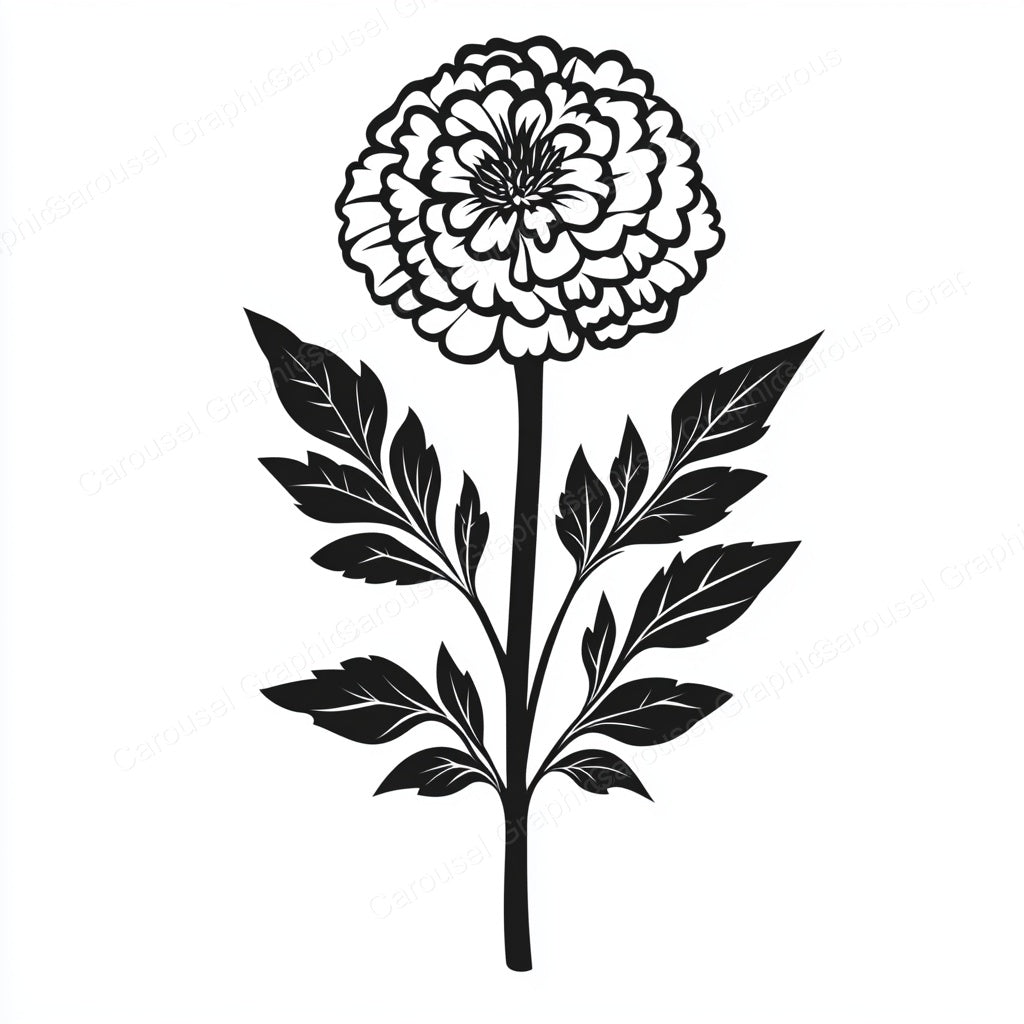 Marigold Vector Graphic preview