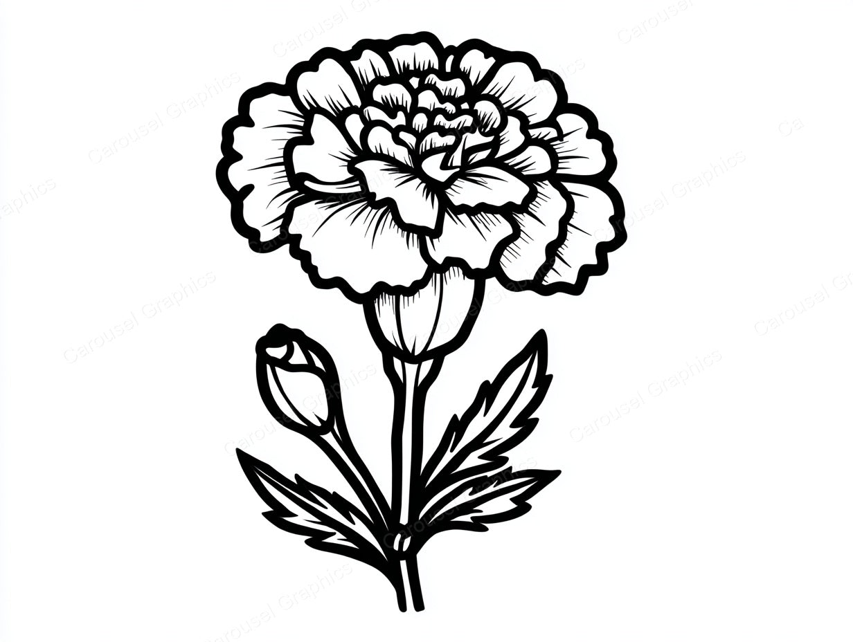 Marigold Vector Graphic preview