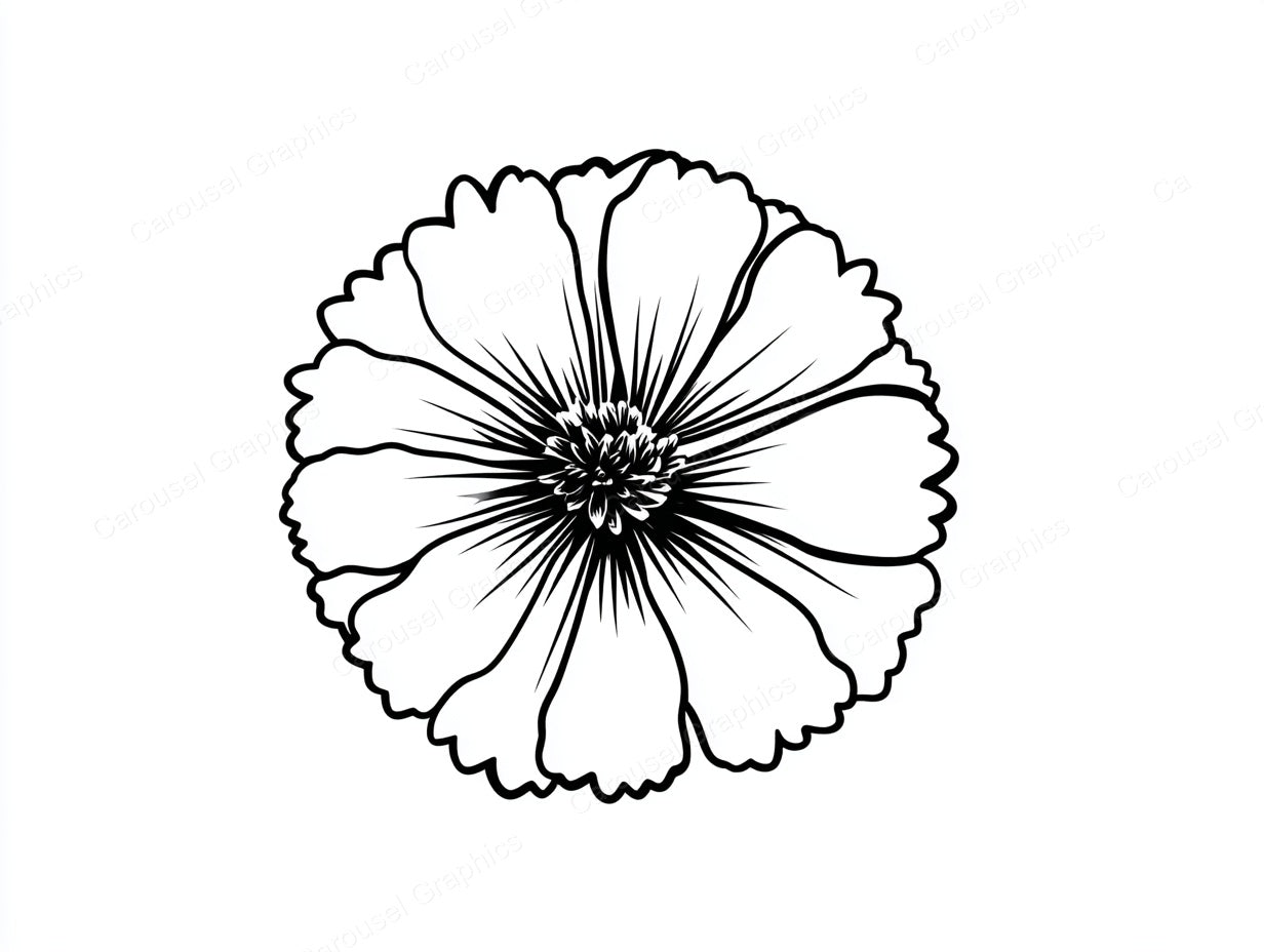 Marigold Vector Graphic preview