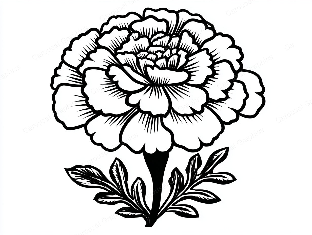 Marigold Vector Graphic preview