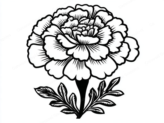 Marigold Vector Graphic preview