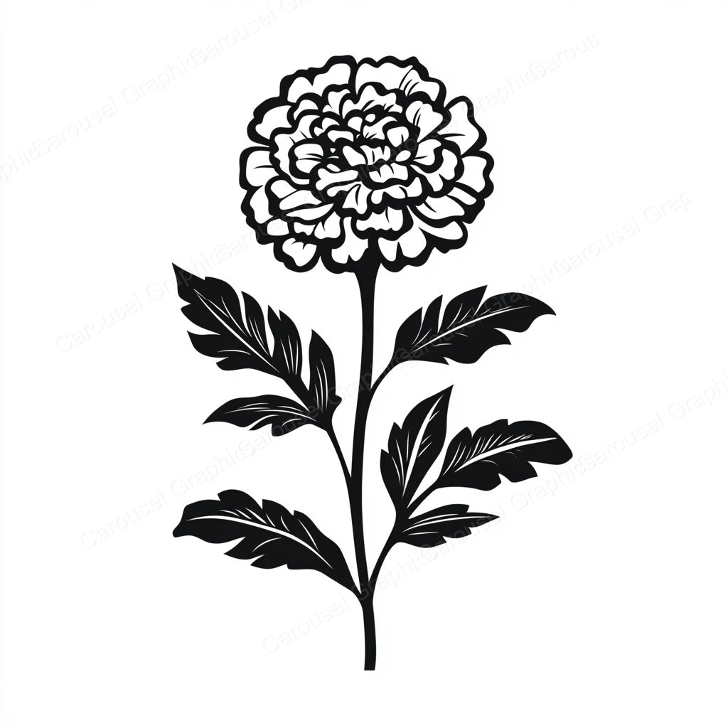 Marigold Vector Graphic preview