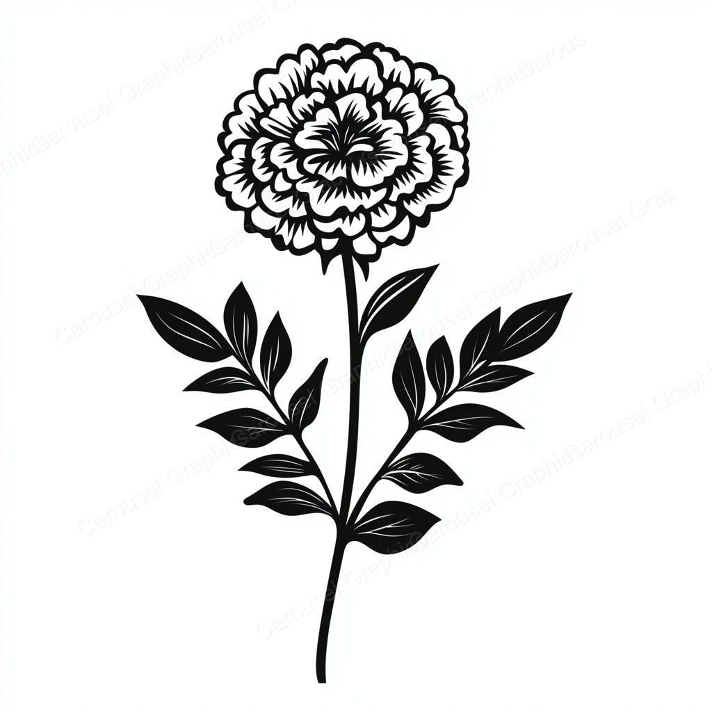 Marigold Vector Graphic preview