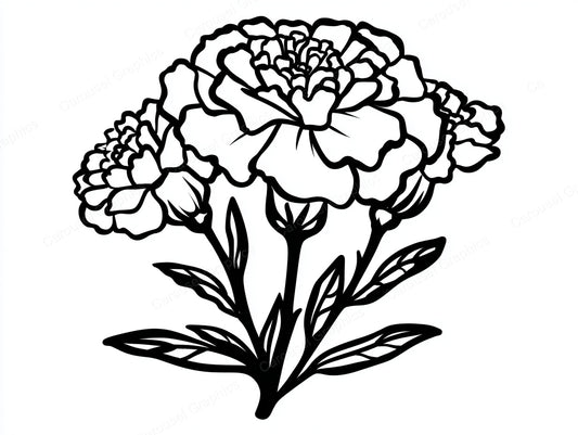 Marigold Vector Graphic preview