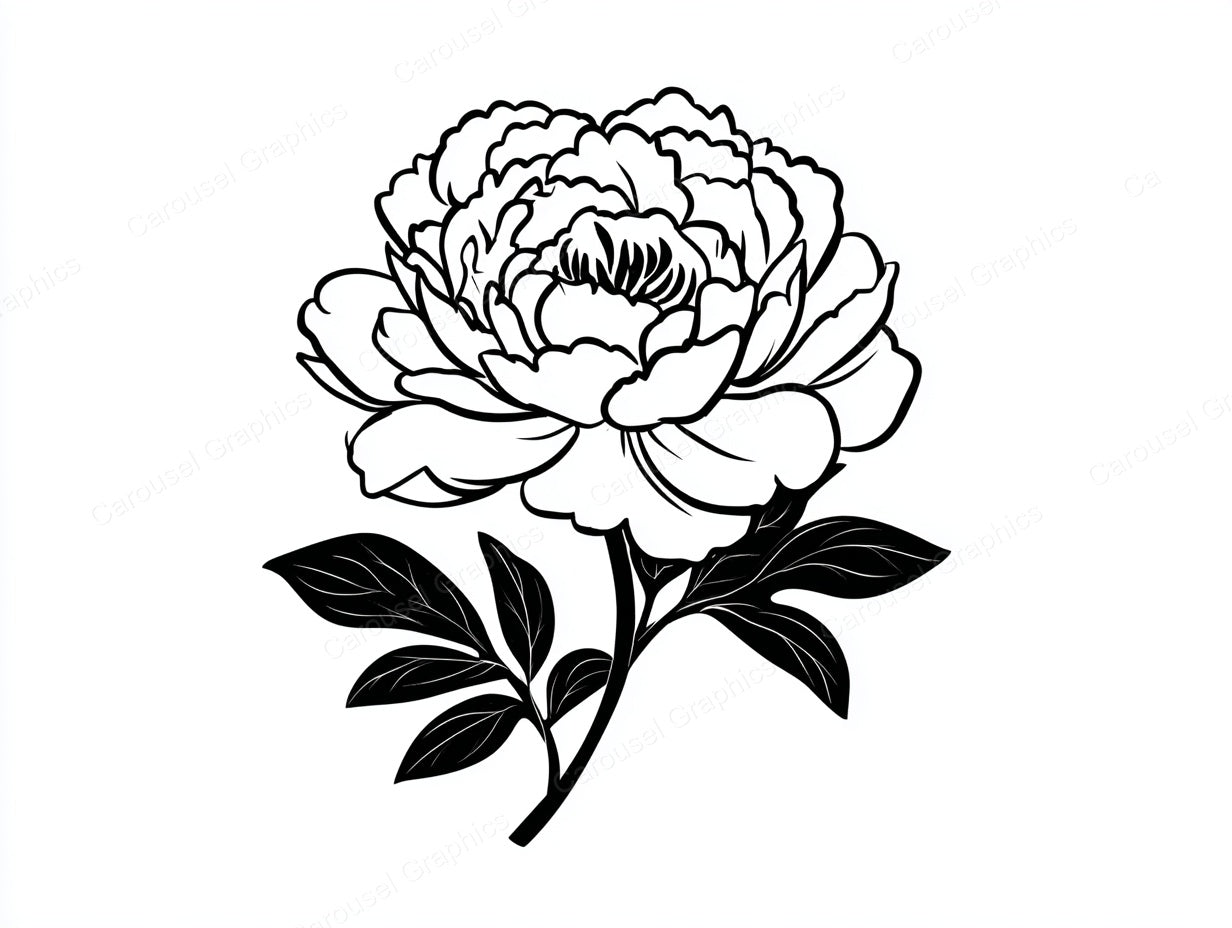 Peony Vector Graphic preview