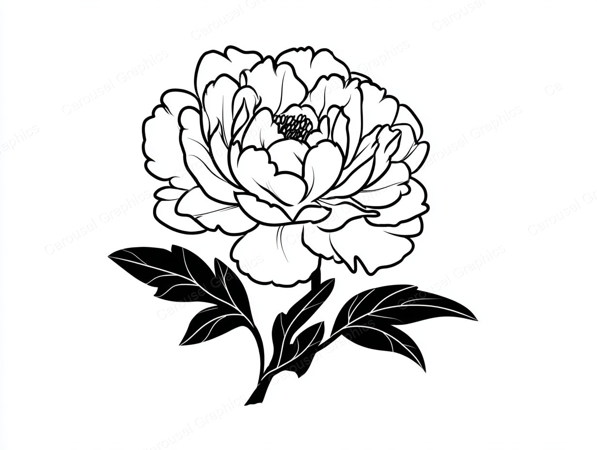 Peony Vector Graphic preview