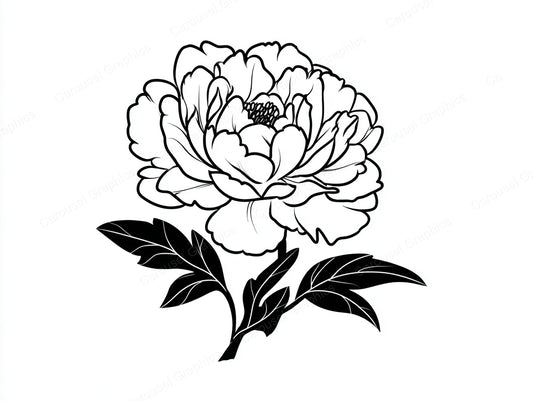 Peony Vector Graphic preview