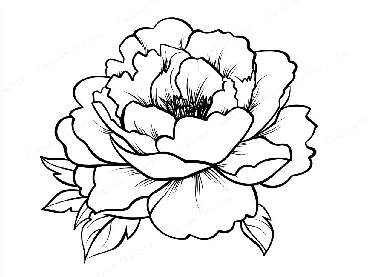 Peony Vector Graphic preview