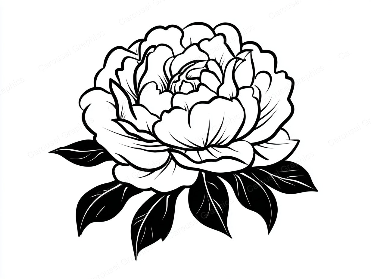 Peony Vector Graphic preview