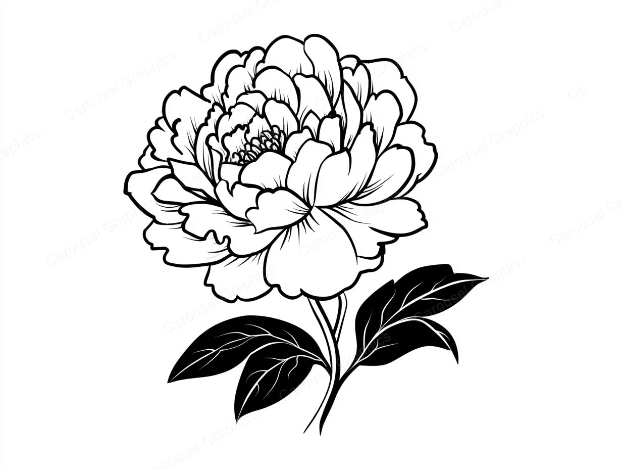Peony Vector Graphic preview