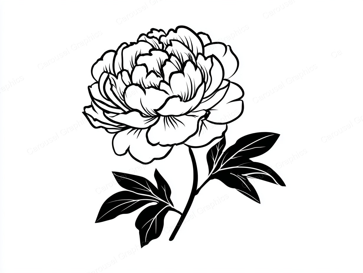 Peony Vector Graphic preview