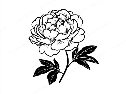 Peony Vector Graphic preview