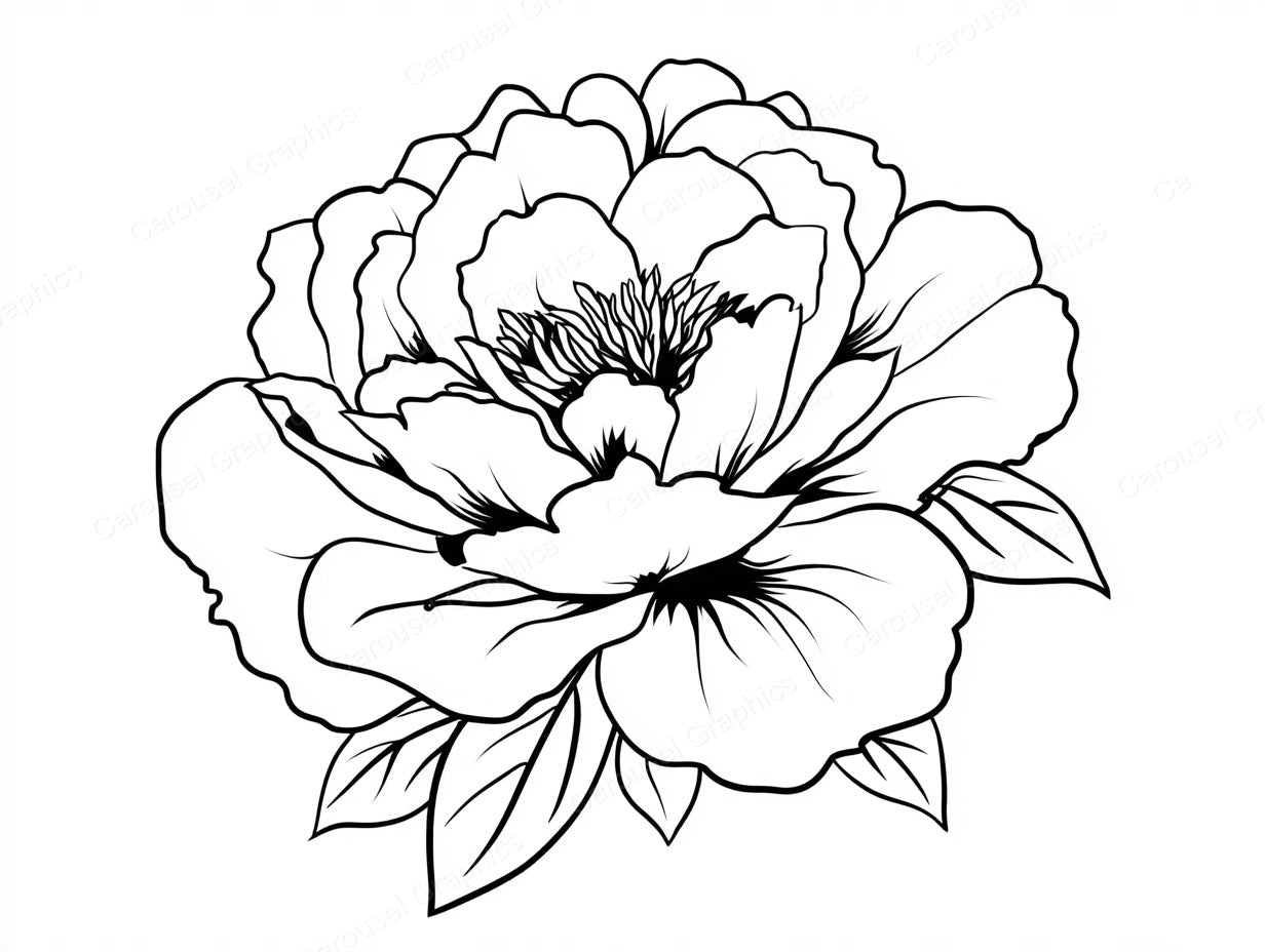 Peony Vector Graphic preview