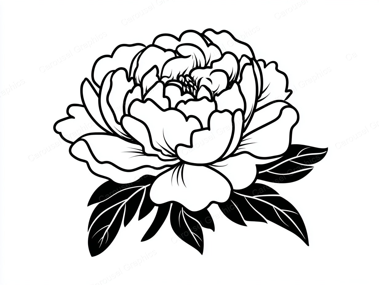 Peony Vector Graphic preview