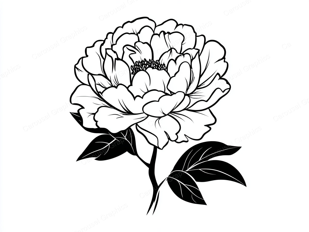 Peony Vector Graphic preview