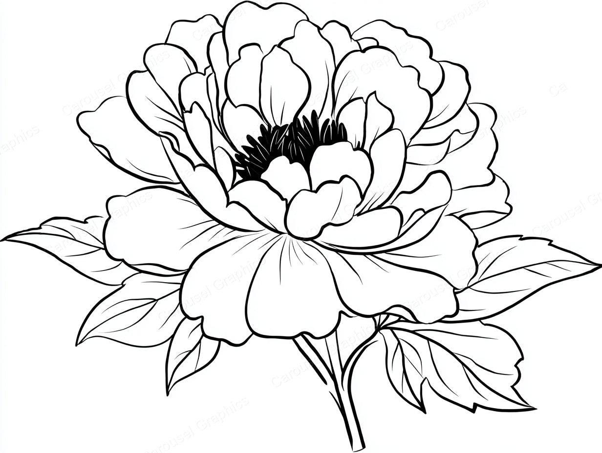 Peony Vector Graphic preview
