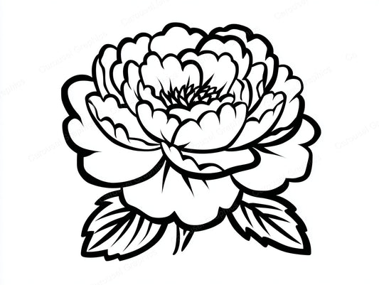Peony Vector Graphic preview